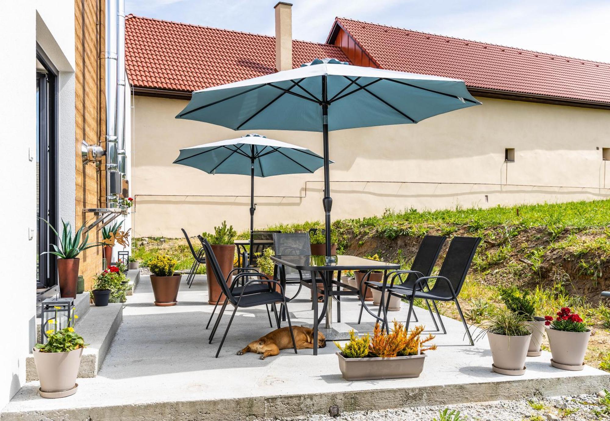 Sunny Apartment With Free Parking Зволен Екстер'єр фото